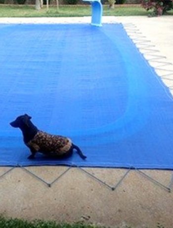 Capas e Lonas para piscina